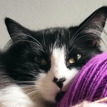 knittingangel19's Kick streamer profile picture