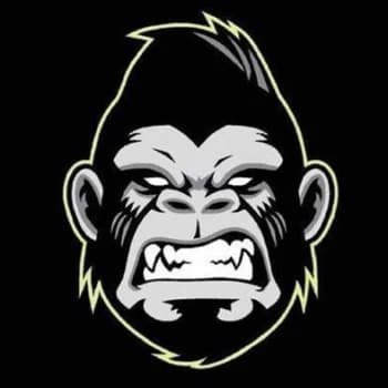 KongSw's Kick streamer profile picture