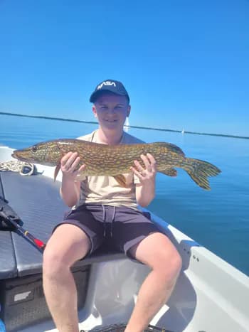 Koooloss's Kick streamer profile picture