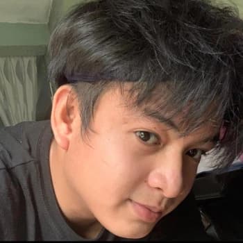 Lashsegway28's Kick streamer profile picture