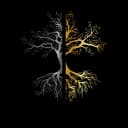 LegendariumTurkiye profile picture