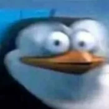 linglingalex's Kick streamer profile picture