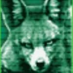 liquidbrain's Kick streamer profile picture