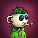 LonelyStoner00 profile picture