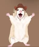 Loxyxyz profile picture