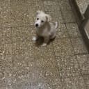 Luchooo_99 profile picture