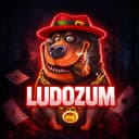 LUDOZUM profile picture