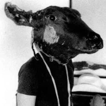 MadAtTheInternet's Kick streamer profile picture