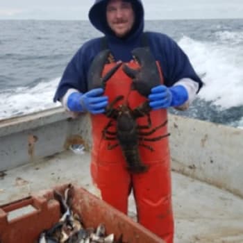 MaineAce207's Kick streamer profile picture