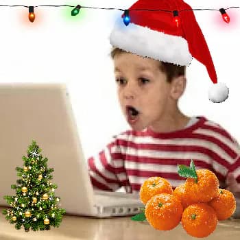 MaloyCSer's Kick streamer profile picture