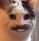 massdie_play profile picture