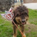 matfvxz profile picture