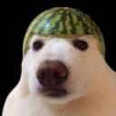 matixoxoo profile picture