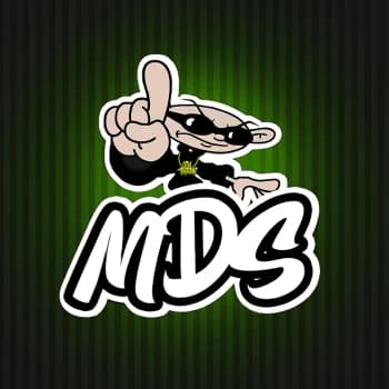 MDS_ALRITMO's Kick streamer profile picture