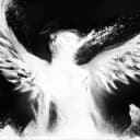 metkybaba profile picture