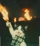 Missfoxy profile picture