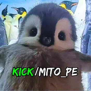mito_pe's Kick streamer profile picture