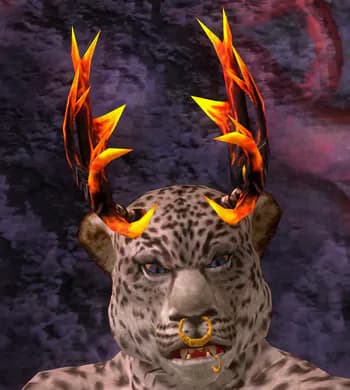 morvak359's Kick streamer profile picture