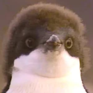 MostlyLostJ77's Kick streamer profile picture