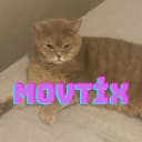 Movtix profile picture