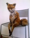 mryarikable profile picture