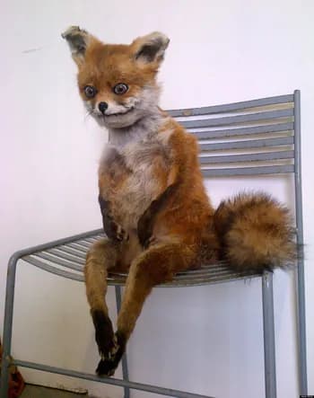 mryarikable's Kick streamer profile picture