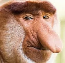 mufljuz's Kick streamer profile picture