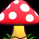 Mushruha profile picture