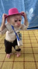 NANASAD profile picture