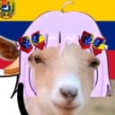 NandaTayo profile picture