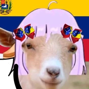 NandaTayo's Kick streamer profile picture