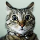 napaDox777 profile picture