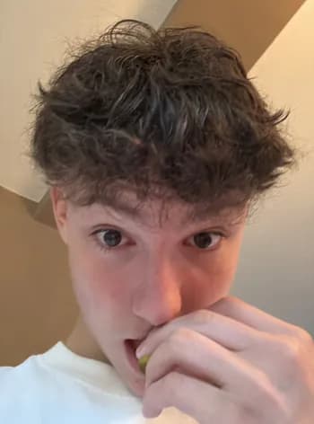 nerchik's Kick streamer profile picture