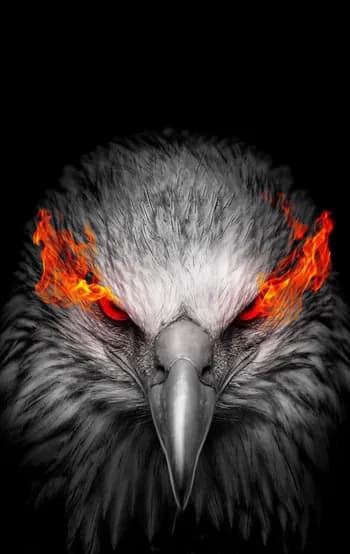 Newes5xD's Kick streamer profile picture