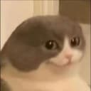 Nuvia profile picture