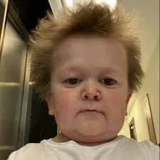 nzegkk's Kick streamer profile picture