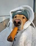 OhLukaz profile picture