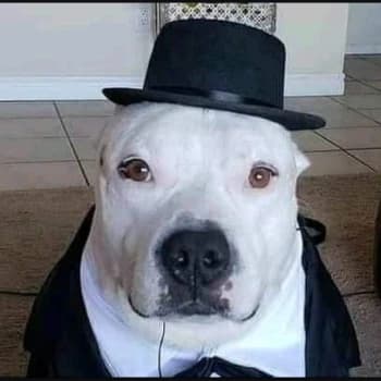 Ositodoto's Kick streamer profile picture