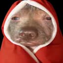 OverTimeCreature profile picture