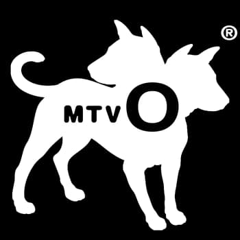 ozemi's Kick streamer profile picture