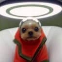 Patiro profile picture