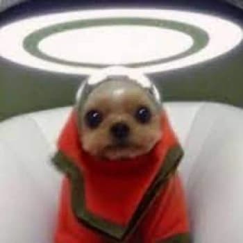 Patiro's Kick streamer profile picture