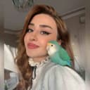 PettyBird profile picture