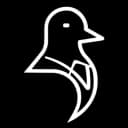 pigeonvizion profile picture