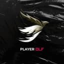 PlayerOLF profile picture