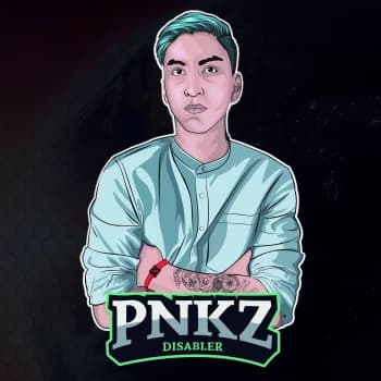 pnkz's Kick streamer profile picture