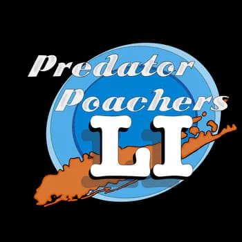 PPLongIsland's Kick streamer profile picture