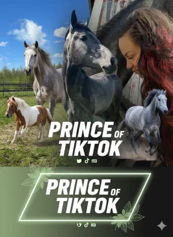 PrinceOfTiktok's Kick streamer profile picture