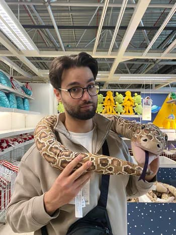 ProfDrMagic's Kick streamer profile picture