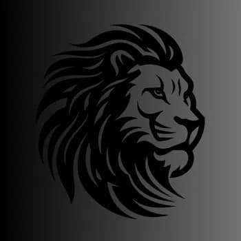 Prorok209's Kick streamer profile picture